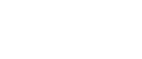 Domingo Alonso Group
